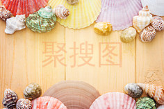 彩色海贝纹理（3200*2134）