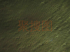 绿色抽象模糊模糊聚焦黑暗纹理（4320*3240）