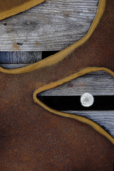 棕色木桌上的白色圆形装饰-免费纹理